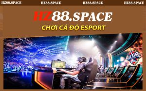 Chơi Cá Độ Esport
