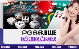 Đánh giá PG66